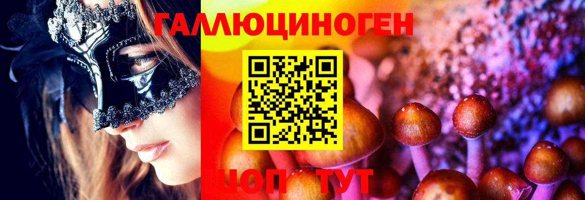 Псилоцибиновые грибы Psilocybine cubensis  Вход с VPN  Псилоцибиновые грибы Psilocybine cubensis  Зима 